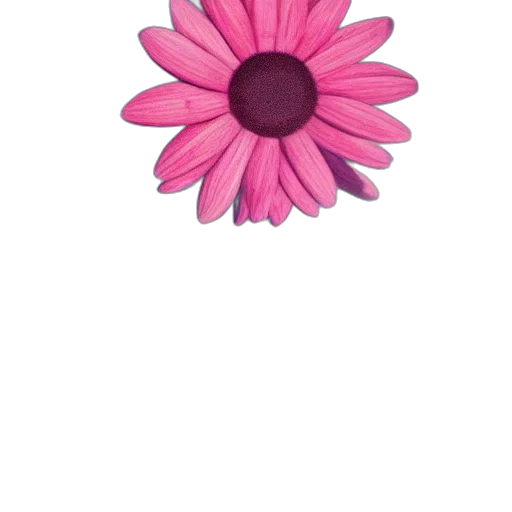 flower, jewelry, crown, staff, 3d render, photorealistic, pixel art, watercolor transparent PNG cut-out