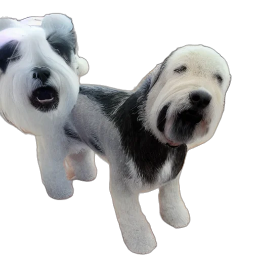 animal, staff, 3d render, photorealistic, concept art, oil painting, bad, dog transparent PNG cut-out