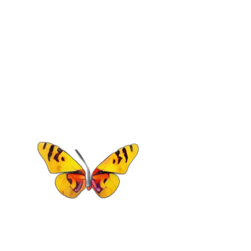 animal, creature, jewelry, flower transparent PNG cut-out