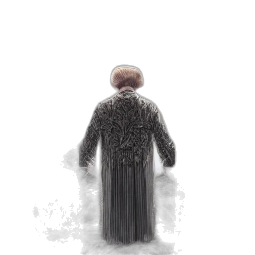dress, jacket, hat, creature transparent PNG cut-out