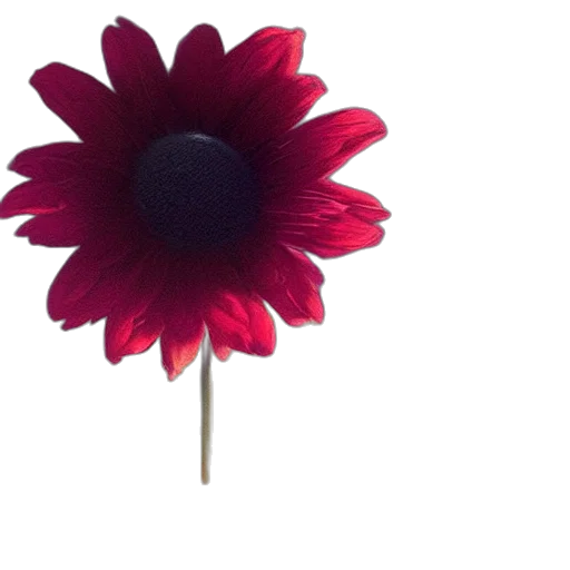 flower, jewelry, crown, staff transparent PNG cut-out