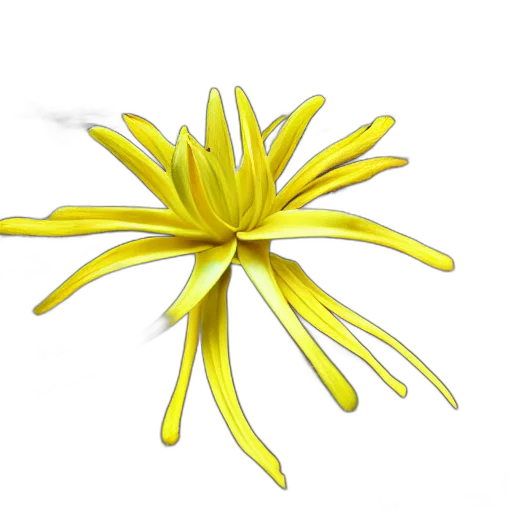 flower, crown, staff, jewelry, 3d render, photorealistic, concept art, cahaba transparent PNG cut-out