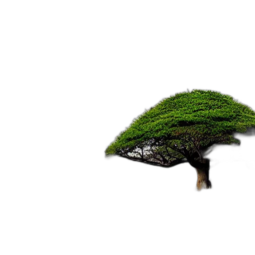 tree, hat, hair, crown, 3d render, pixel art, photorealistic, concept art transparent PNG cut-out
