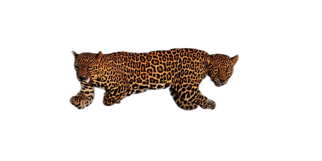 animal, staff, creature, jewelry, 3d render, photorealistic, concept art, pixel art transparent PNG cut-out