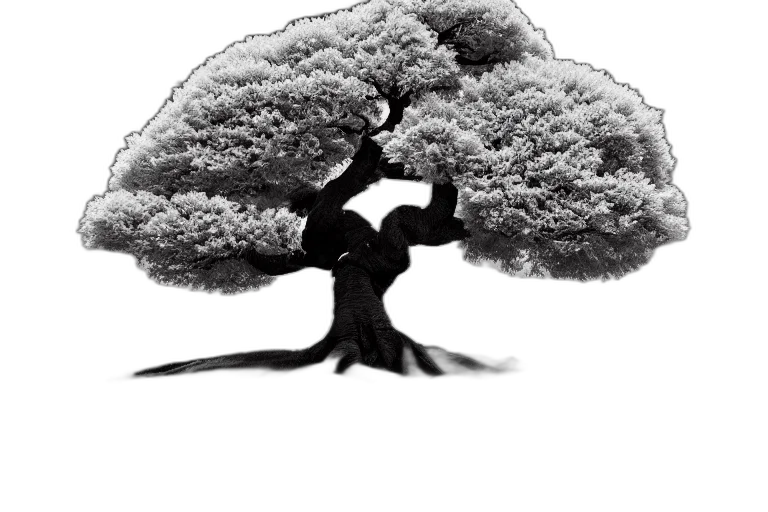tree, crown, hair, staff, photorealistic, pencil sketch, concept art, 3d render transparent PNG cut-out