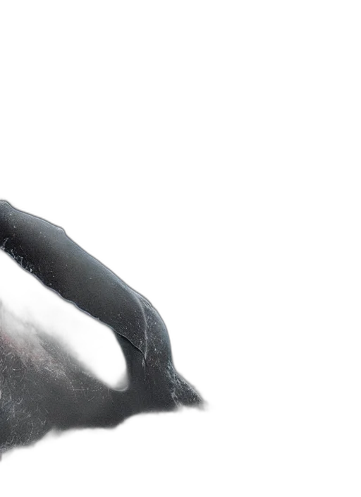 animal, creature, mask, dragon transparent PNG cut-out