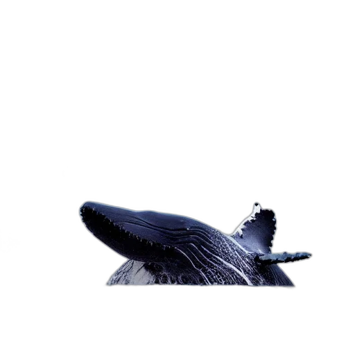hat, animal, creature, hair transparent PNG cut-out