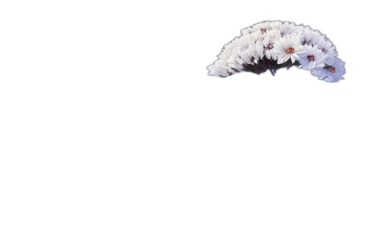 dragon, animal, creature, umbrella, pixel art, 3d render, concept art, anime transparent PNG cut-out