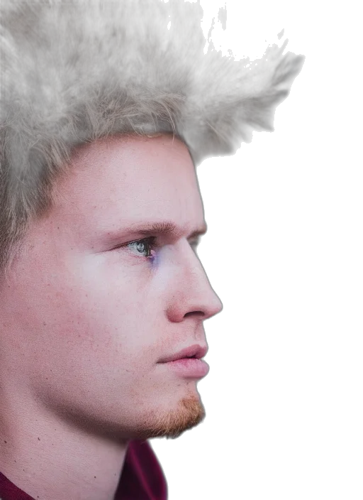 hair, face, crown, hat transparent PNG cut-out