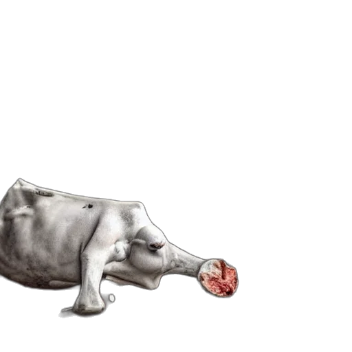 animal, food, creature, weapon, concept art, photorealistic, 3d render, watercolor transparent PNG cut-out