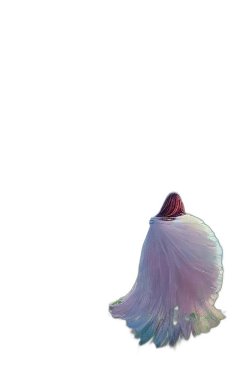 hair, face, crown, creature transparent PNG cut-out