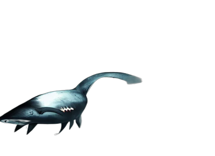 dragon, creature, animal, weapon transparent PNG cut-out