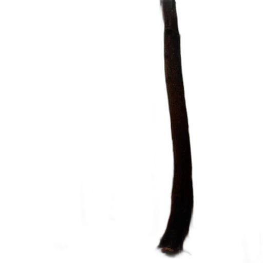 staff, sword, hair, weapon transparent PNG cut-out