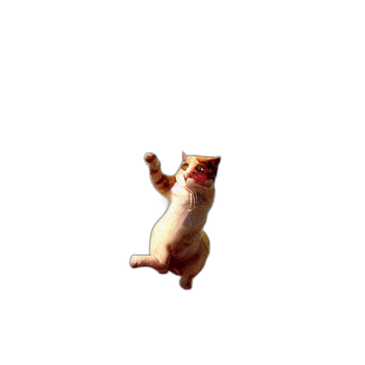 animal, creature, staff, dragon transparent PNG cut-out