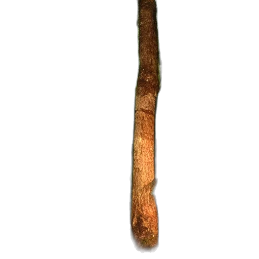 staff, sword, weapon, hair transparent PNG cut-out