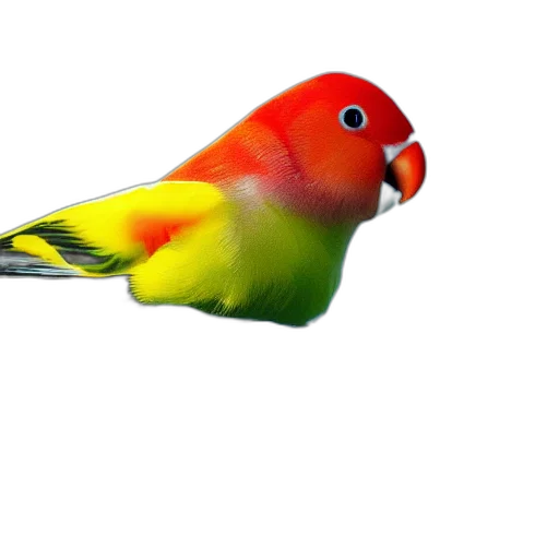 animal, staff, hat, creature, 3d render, photorealistic, concept art, watercolor transparent PNG cut-out
