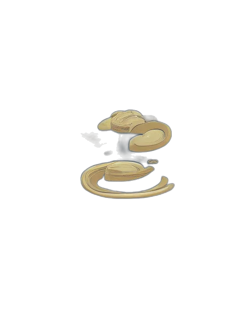 jewelry, food, hat, crown transparent PNG cut-out