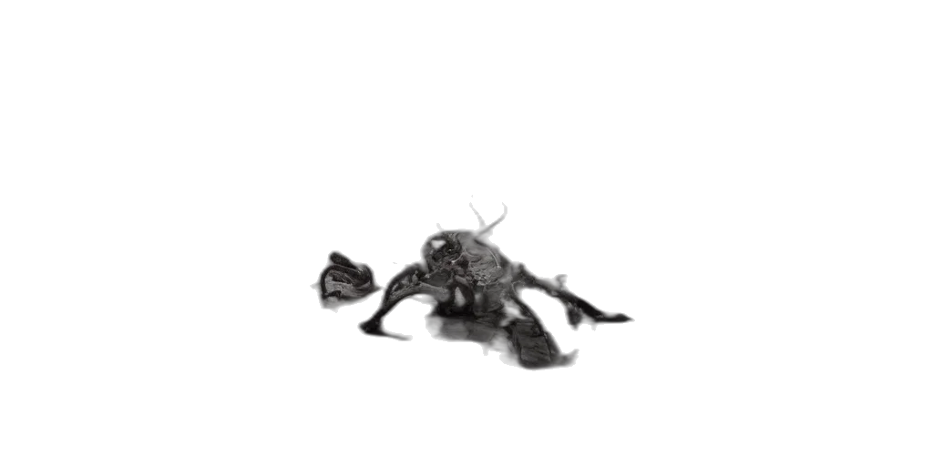 robot, weapon, dragon, creature transparent PNG cut-out