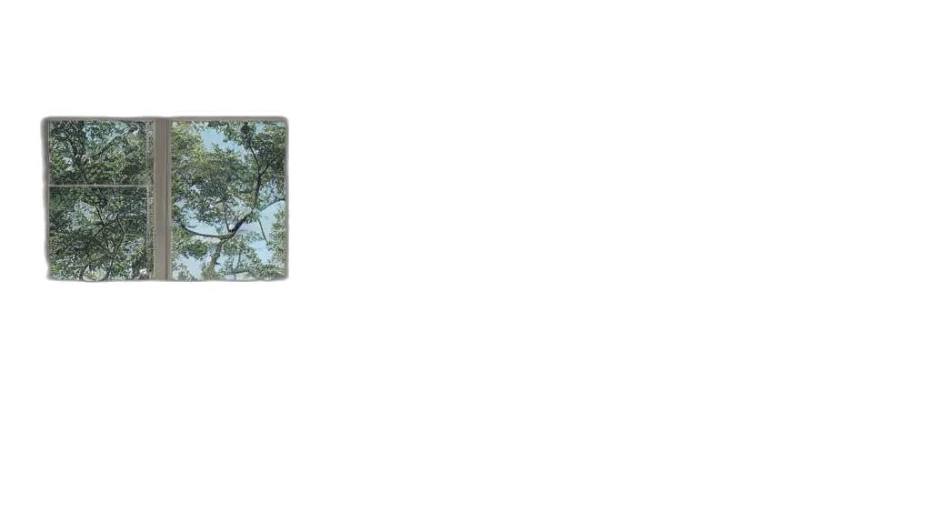 tree, animal, crown, staff, photorealistic, 3d render, oil painting, concept art transparent PNG cut-out