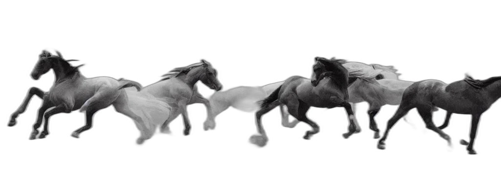 animal, dragon, creature, hair transparent PNG cut-out