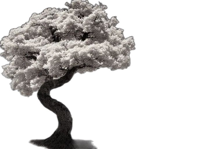 tree, crown, hair, 3d render, photorealistic, concept art, forest, award transparent PNG cut-out