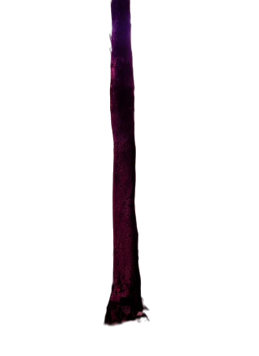 staff, sword, weapon, umbrella transparent PNG cut-out