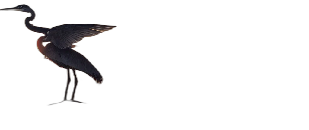 hair, animal, staff, hat, photorealistic, 3d render, concept art, sunrise transparent PNG cut-out