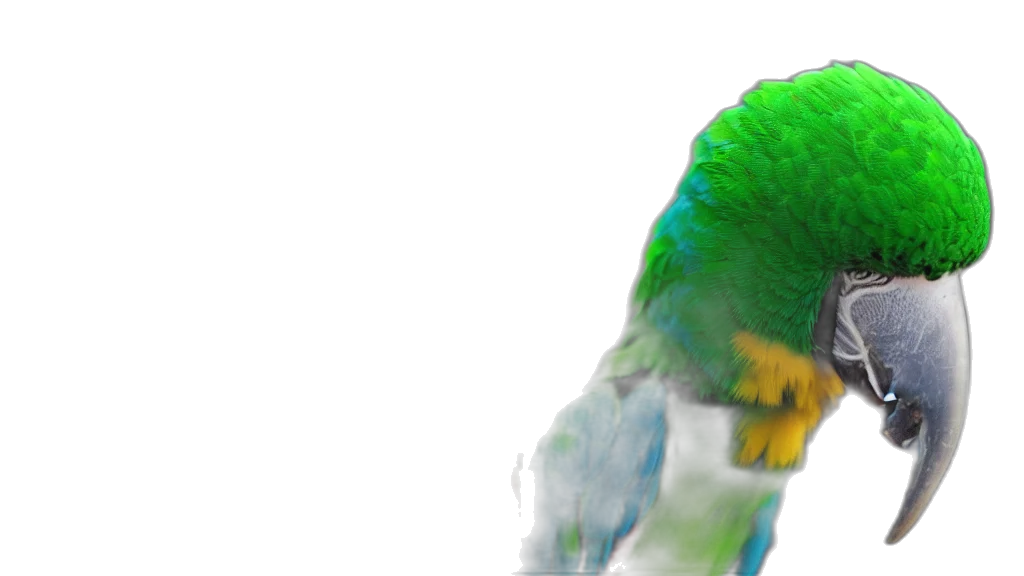 animal, creature, hair, mask, 3d render, photorealistic, concept art, vaporwave transparent PNG cut-out