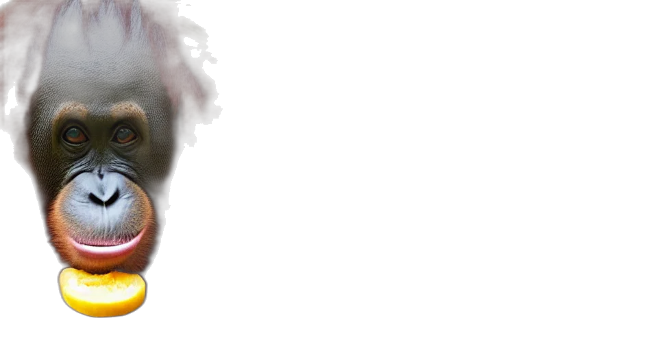 face, hair, mask, creature transparent PNG cut-out