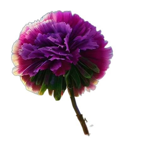 flower, crown, umbrella, staff transparent PNG cut-out