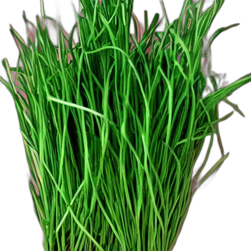 weapon, food, staff, flower transparent PNG cut-out