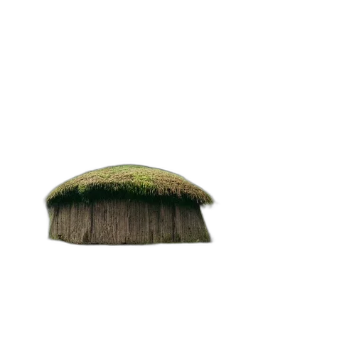 hat, hair, tree, furniture transparent PNG cut-out