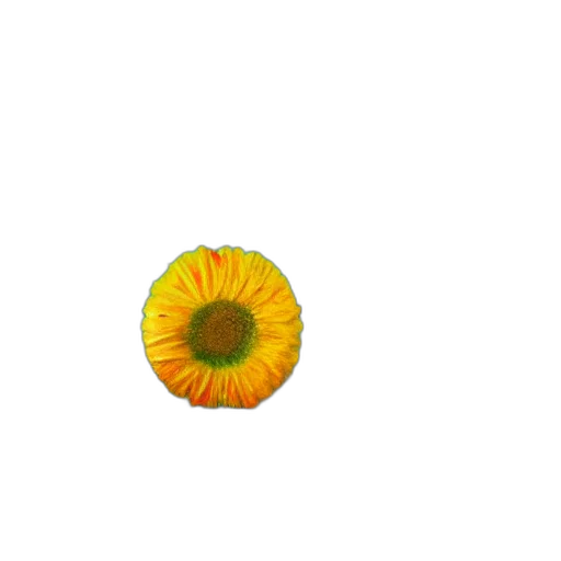 flower, food, crown, jewelry, 3d render, pixel art, photorealistic, concept art transparent PNG cut-out