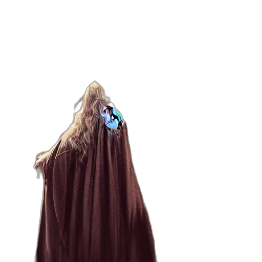 dress, jacket, sword, staff transparent PNG cut-out