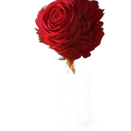 flower, crown, staff, umbrella transparent PNG cut-out
