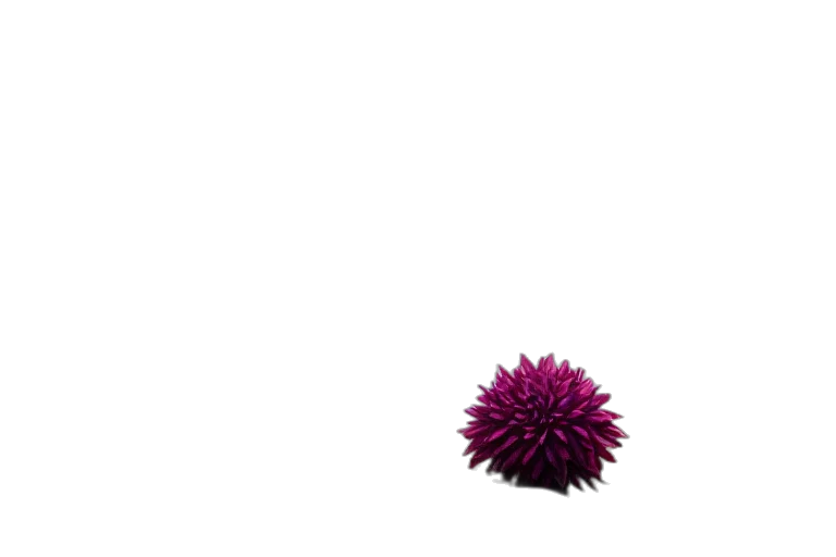 flower, hair, umbrella, crown, 3d render, photorealistic, concept art, pixel art transparent PNG cut-out