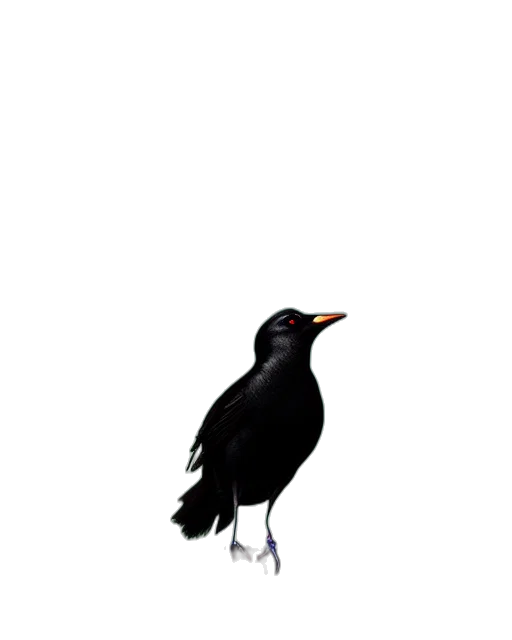 animal, creature, staff, shoes transparent PNG cut-out