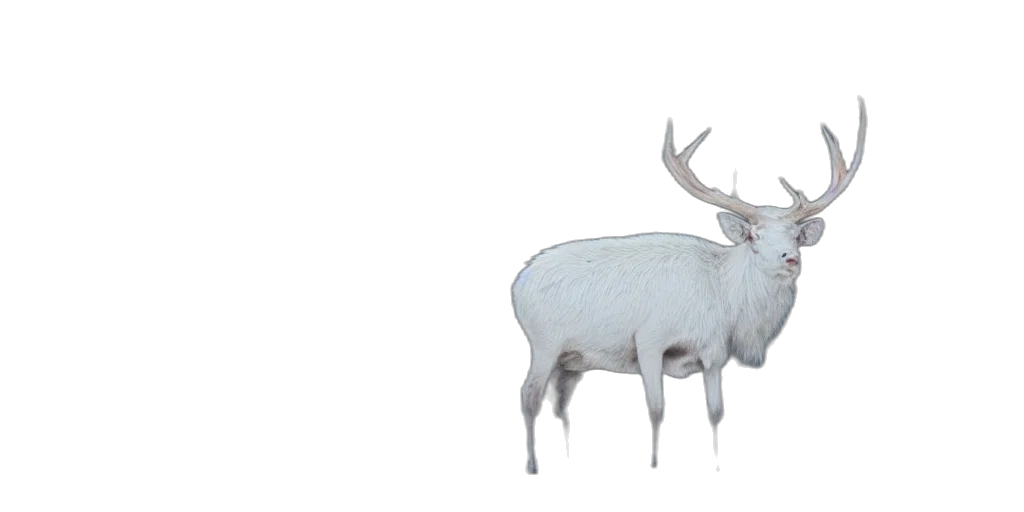 animal, creature, crown, 3d render transparent PNG cut-out