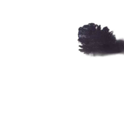hair, tree, crown, shoes transparent PNG cut-out