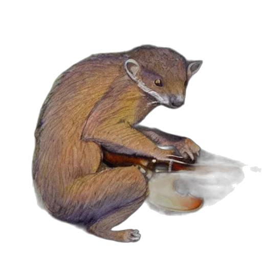 animal, food, weapon, staff transparent PNG cut-out