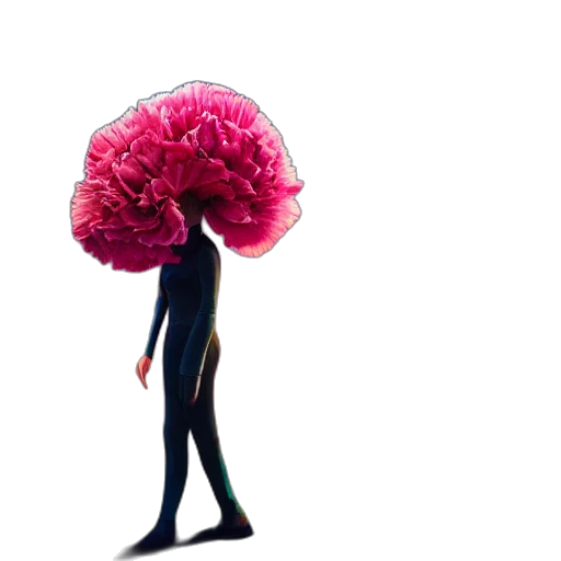 flower, hat, hair, crown transparent PNG cut-out