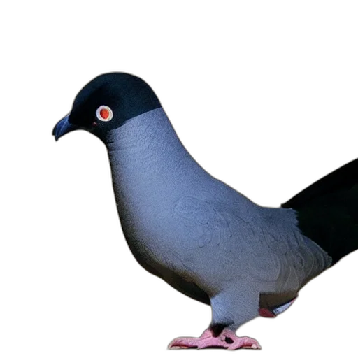 animal, creature, hat, staff, 3d render, photorealistic, concept art, vaporwave transparent PNG cut-out