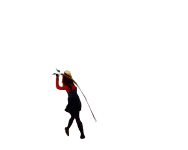 staff, sword, weapon, hat, pixel art, concept art, 3d render, anime transparent PNG cut-out