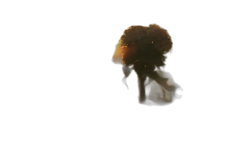 hair, creature, crown, hat transparent PNG cut-out