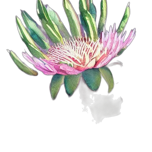flower, crown, staff, jewelry, watercolor, photorealistic, concept art, pencil sketch transparent PNG cut-out