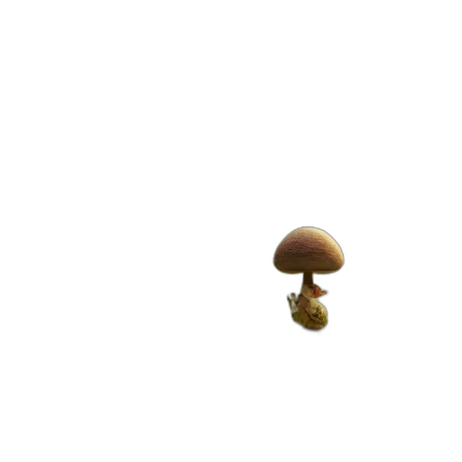 hat, crown, food, umbrella transparent PNG cut-out