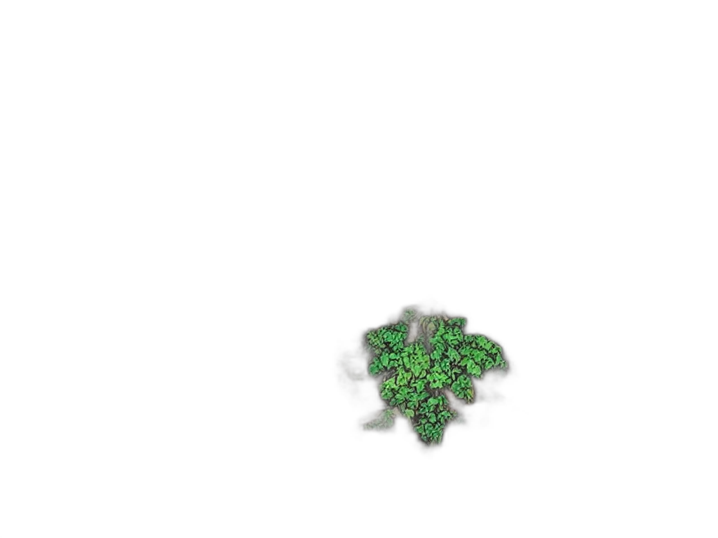 jewelry, crown, flower, tree transparent PNG cut-out