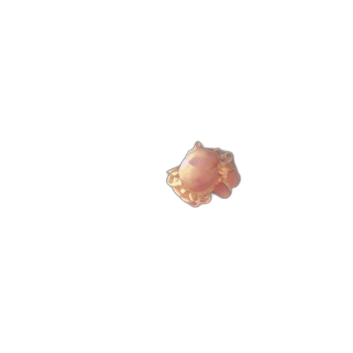 crown, jewelry, food, hair transparent PNG cut-out