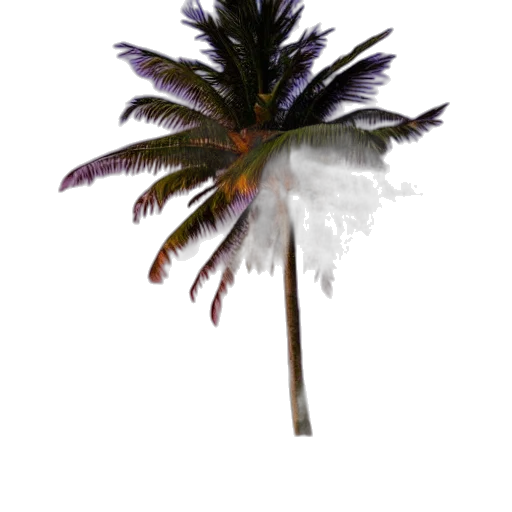 flower, staff, umbrella, tree transparent PNG cut-out
