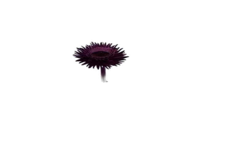 flower, crown, hair, umbrella, pixel art, 3d render, concept art, photorealistic transparent PNG cut-out